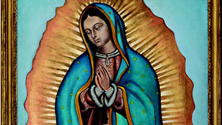 Lady of Guadalupe Lady of Guadalupe