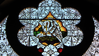 glass-stained-window-pelican glass-stained-window-pelican
