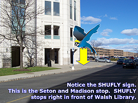 Seton Hall Shuttle virtual tour stop. Image highlights stop being in front of walsh library.