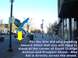 Seton Hall Shuttle virtual tour. Image highlights Seton Hall Shuttle stop (Rite Aid: heading towards campus).