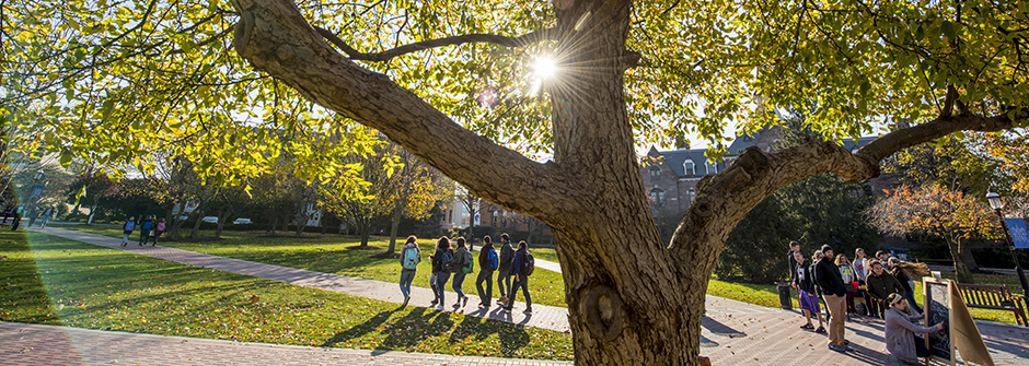 Students on campus