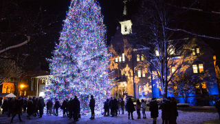 Christmas Tree lighting at the Hall