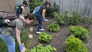 students dispersing compost
