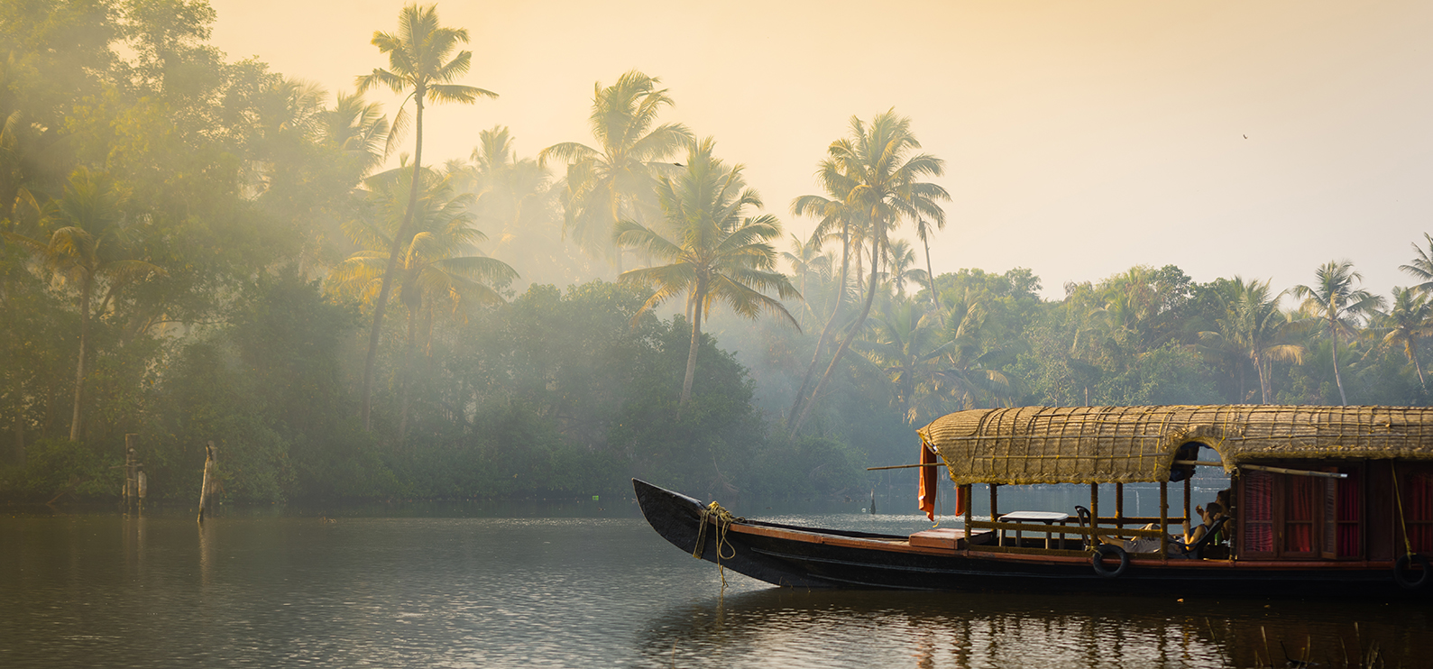 Image of a small boat in India with palm trees in the background. 