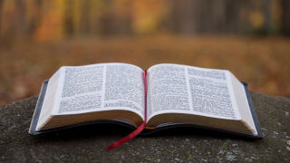 Bible laid open on top of a rock in a forest