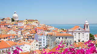 Coastline of Lisbon, Portgula with flowers. 