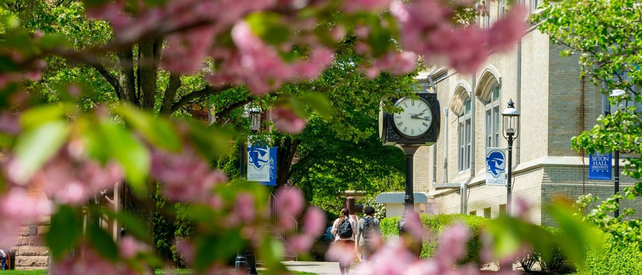 Image of cherry blossoms on campus